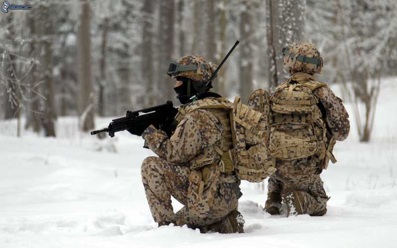 soldados-nieve-219116.jpg